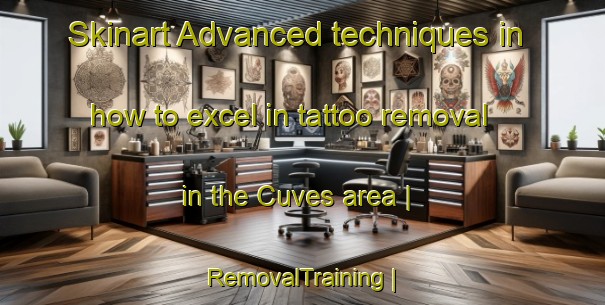 Skinart Advanced techniques in how to excel in tattoo removal in the Cuves area | RemovalTraining | RemovalClasses | SkinartTraining-France